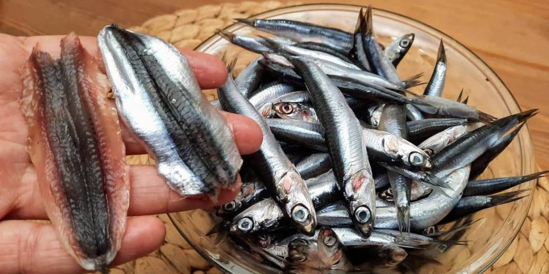 Hamsi yerken kılçığını atmayın! Faydasını duyan çiğnemeden yutacak: Uzmanlar kılçıklı önerdi 6